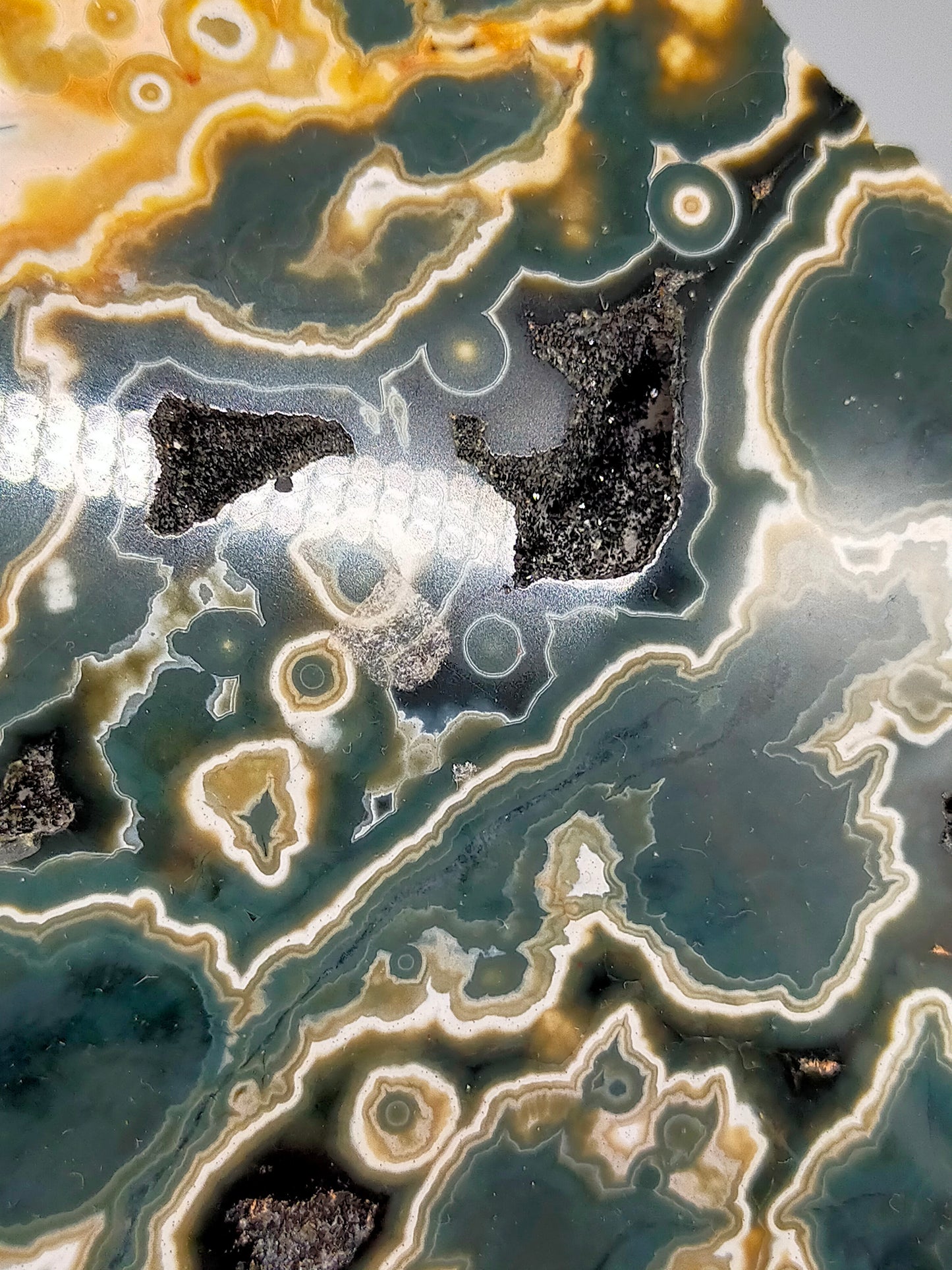 Faszinierender Ozean Jaspis Anschliff Farbintensiver Orbicular Jasper