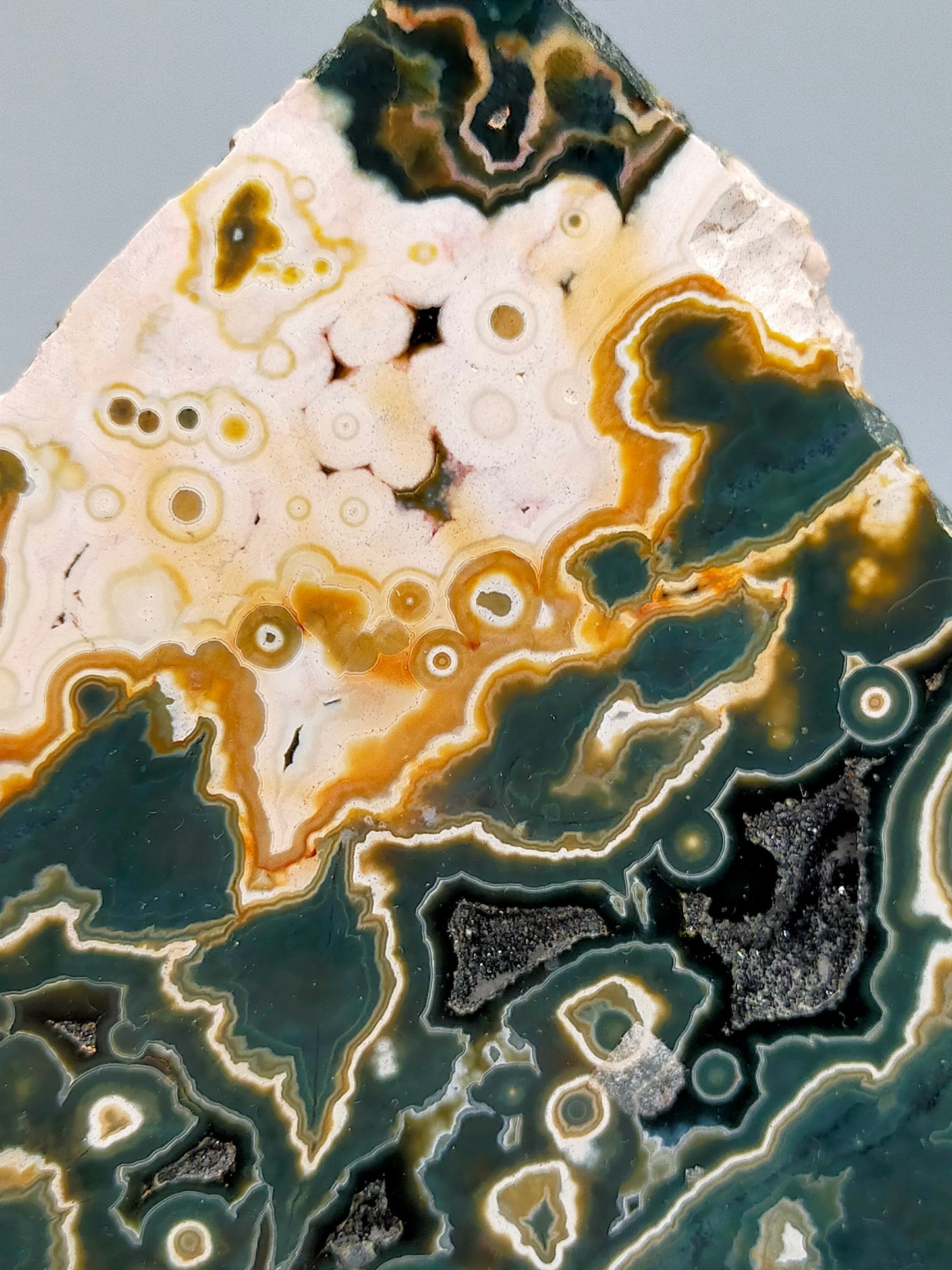 Faszinierender Ozean Jaspis Anschliff Farbintensiver Orbicular Jasper