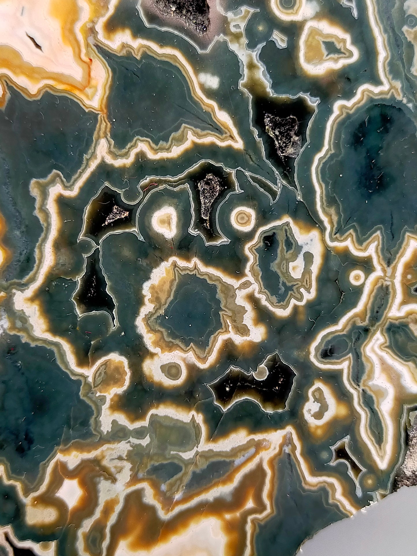 Faszinierender Ozean Jaspis Anschliff Farbintensiver Orbicular Jasper