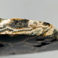 Faszinierender Ozean Jaspis Anschliff Farbintensiver Orbicular Jasper