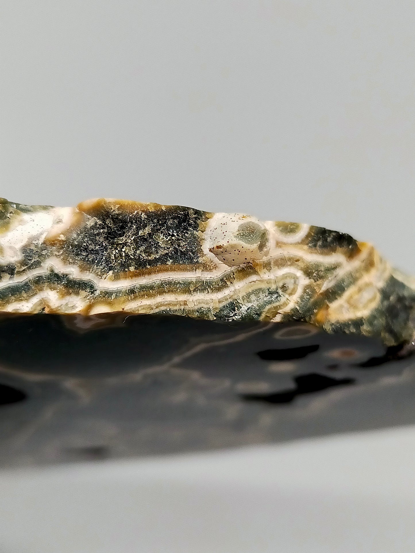Faszinierender Ozean Jaspis Anschliff Farbintensiver Orbicular Jasper