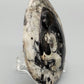 Polierter Goniatit Ammonit Fossil aus Marokko