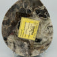 Polierter Goniatit Ammonit Fossil aus Marokko