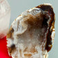Exklusives Mineralien Set mit Bergkristall und Achat Geode in Vitrine