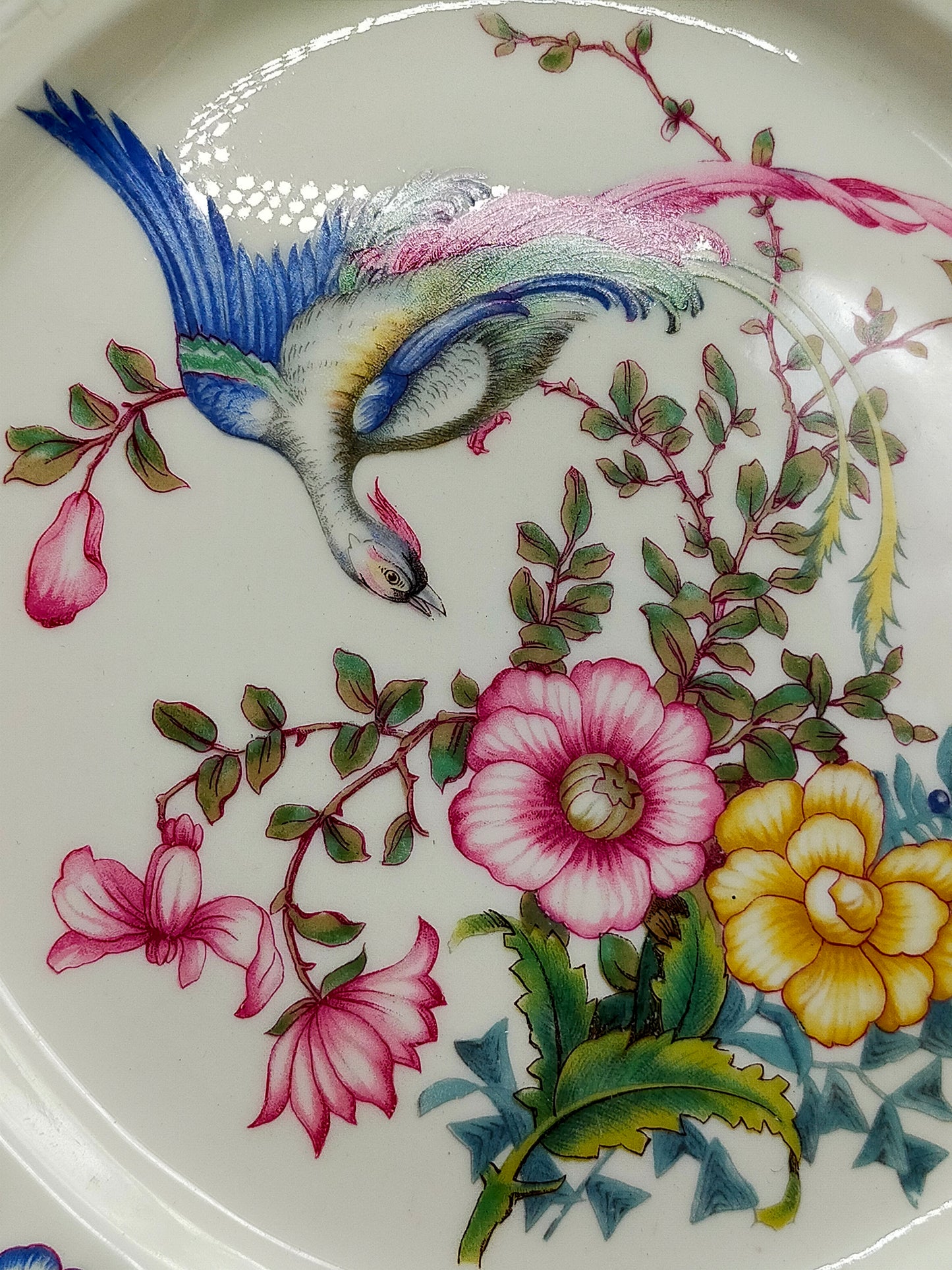 Edler Rosenthal Sanssouci Porzellan WandTeller Elegantes Vogel- und Blumendekor