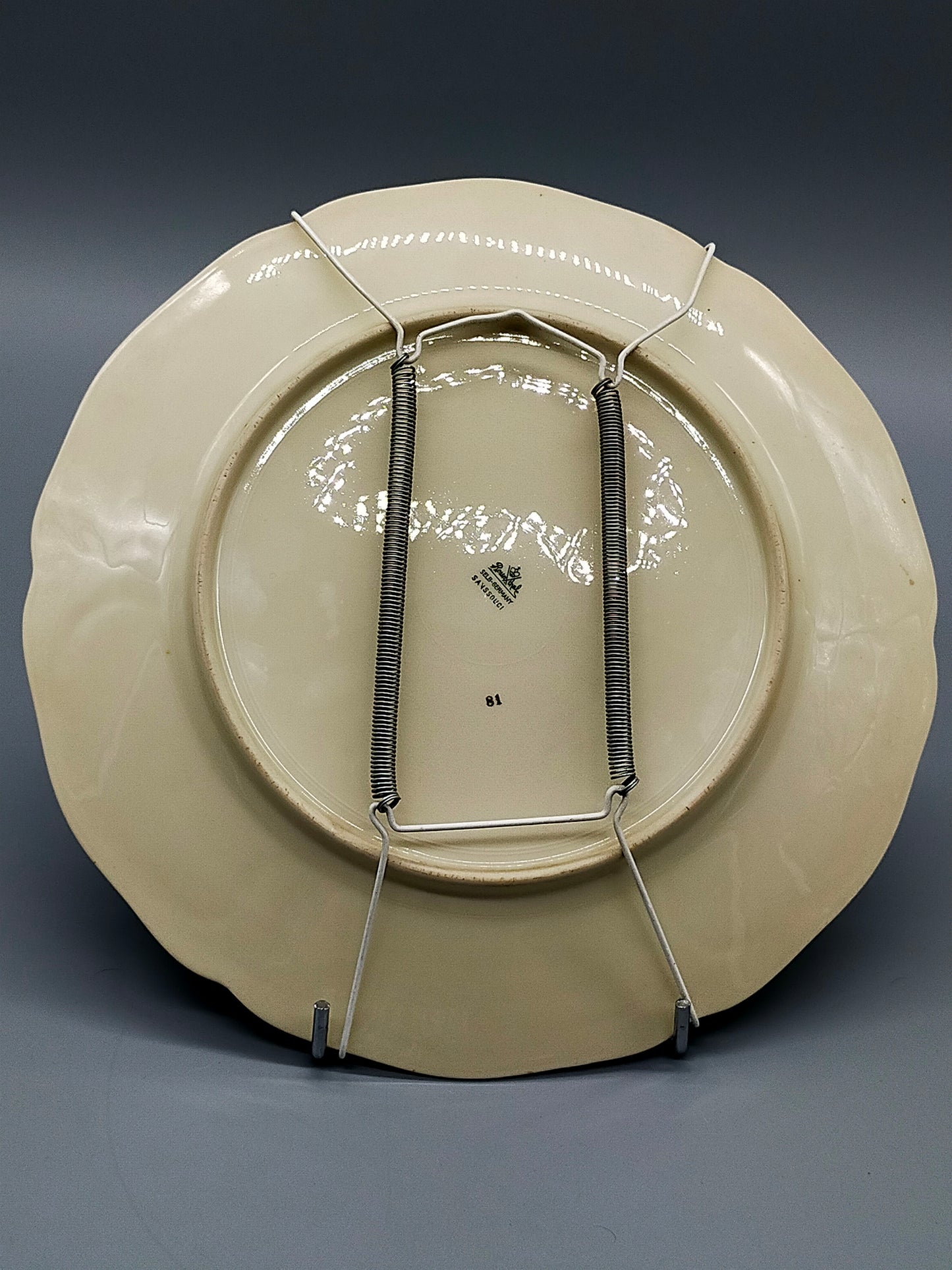 Edler Rosenthal Sanssouci Porzellan WandTeller Elegantes Vogel- und Blumendekor