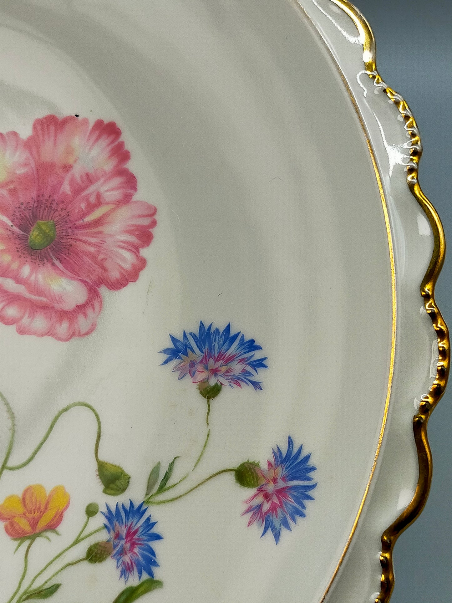 Bavaria Porzellan Teller mit Blumen Dekor und Goldrand – Vintage