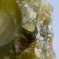 Grüner Opal Rohstein Naturbelassener Edelstein mit Muschelbruch