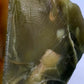 Grüner Opal Rohstein Naturbelassener Edelstein mit Muschelbruch