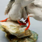 Hutschenreuther Seeschwalben Paar – Granget Porzellan Figur