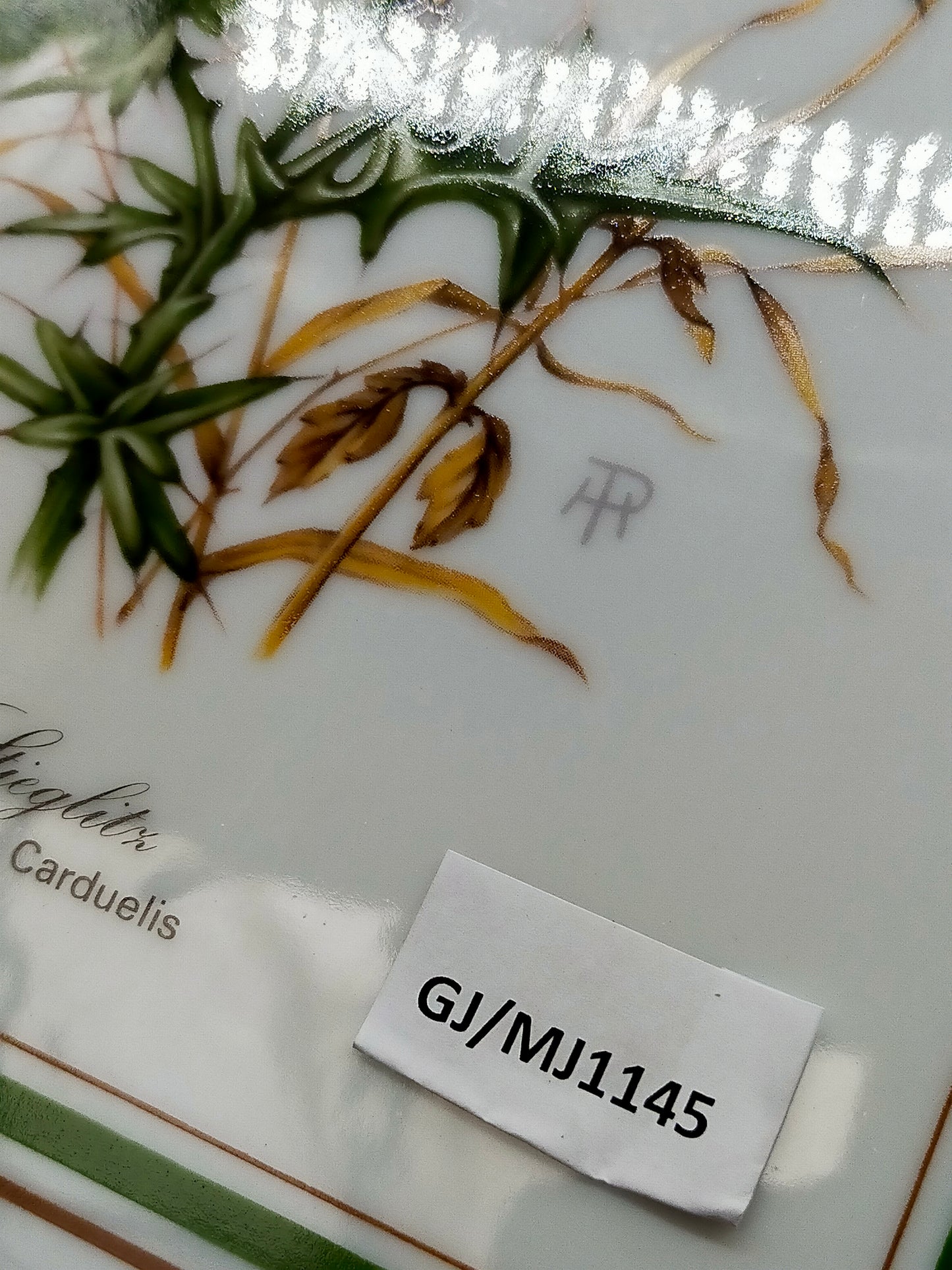 Königlich Tettau Porzellanbild Stieglitz Limitierte Edition