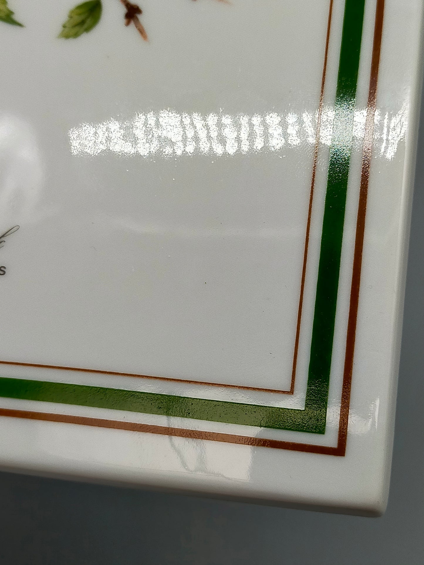 Königlich Tettau Porzellanbild Buchfink  Limitierte Edition