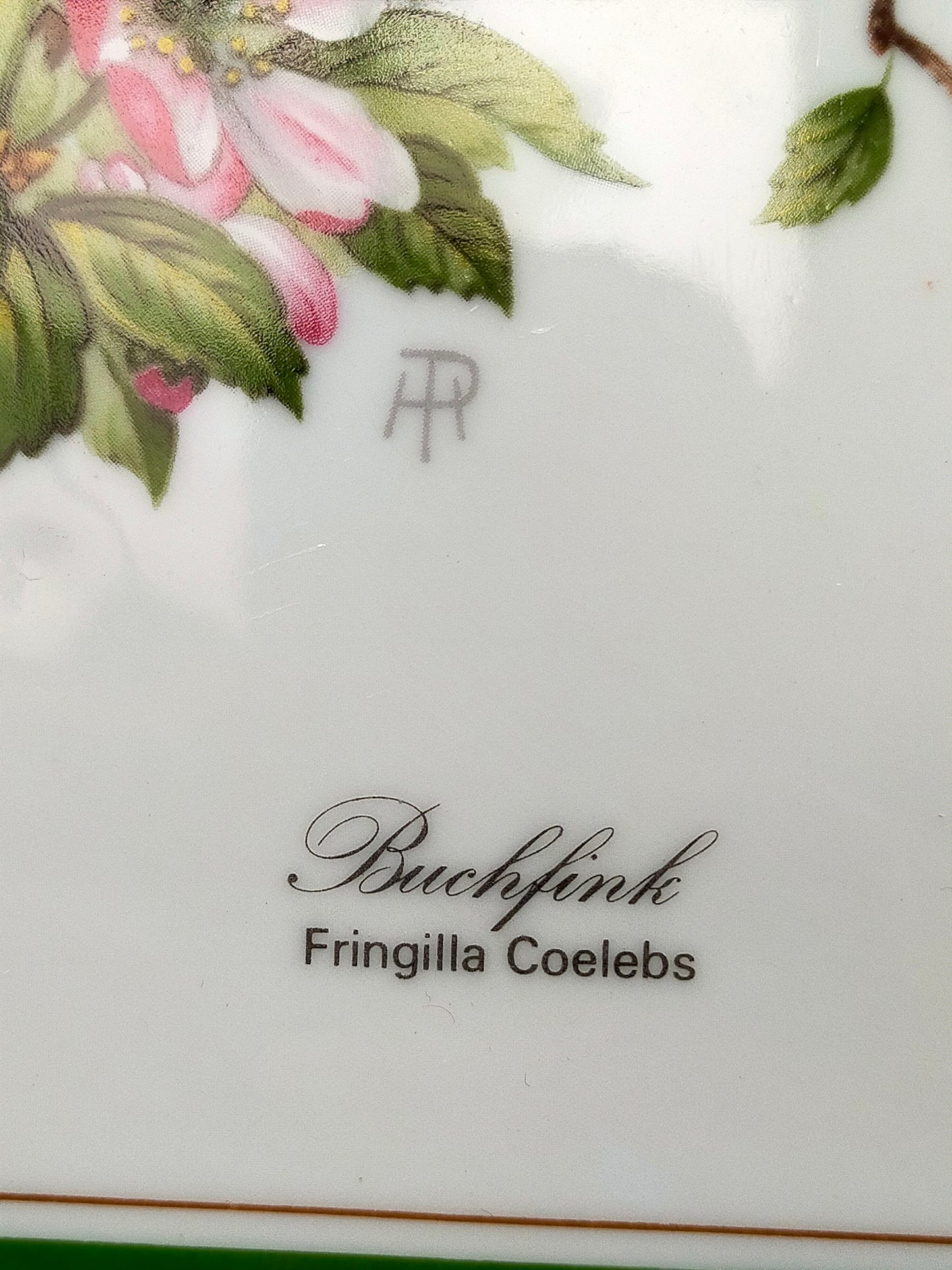 Königlich Tettau Porzellanbild Buchfink  Limitierte Edition