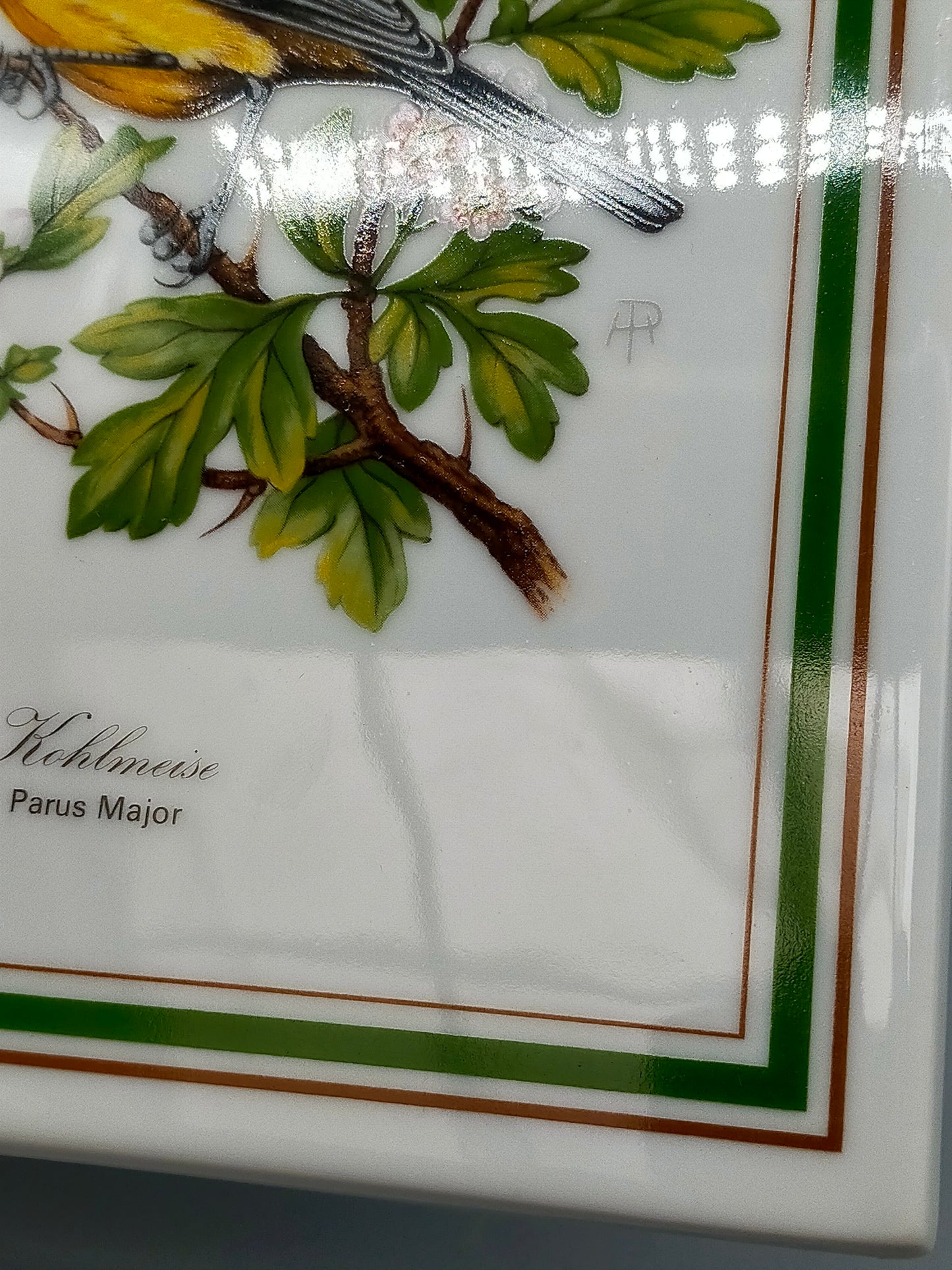 Königl. pr. Tettau Porzellanbild Kohlmeise  Limitierte Edition