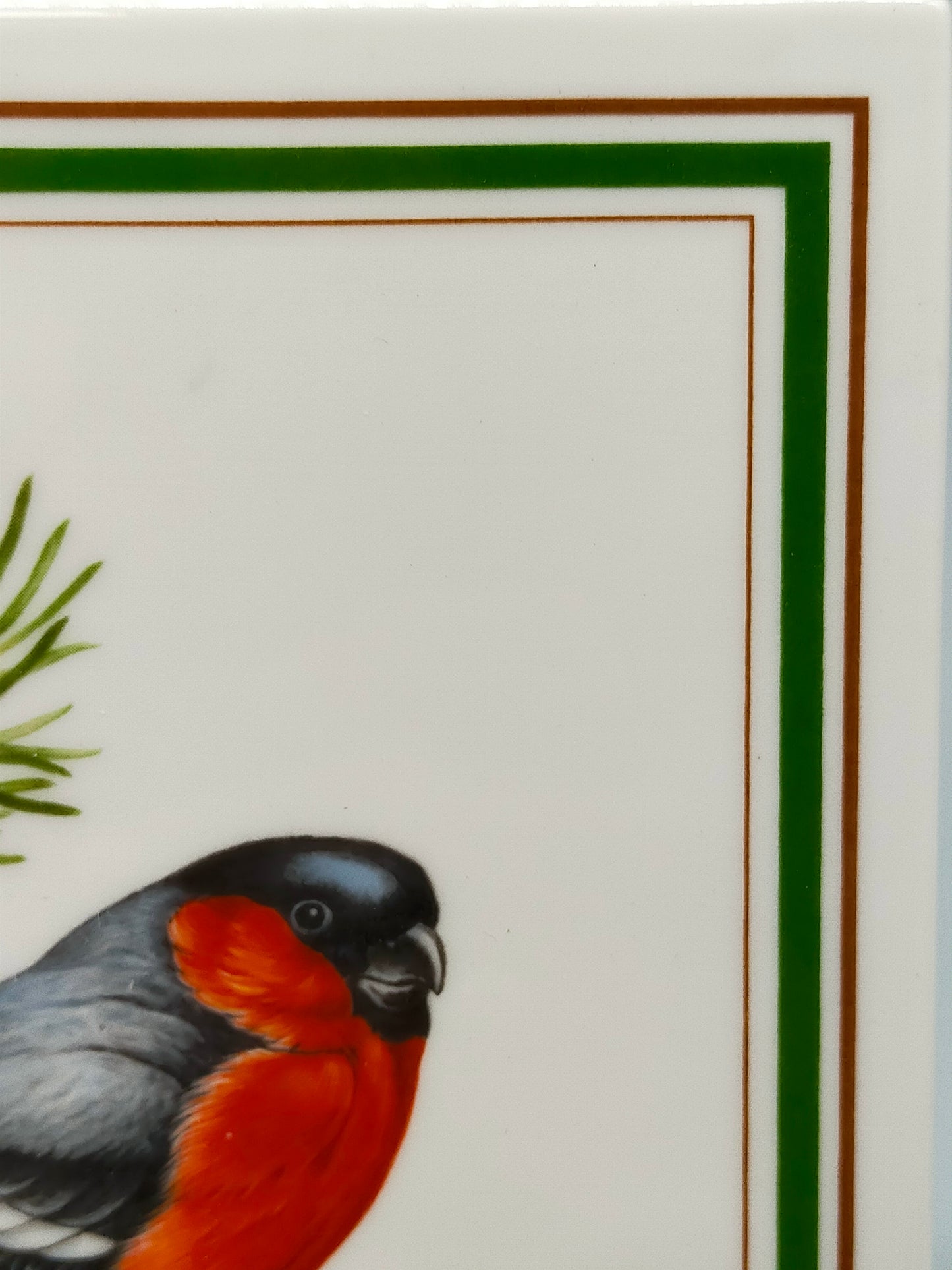 Tettau Porzellanbild Dompfaff Limitierte Singvögel