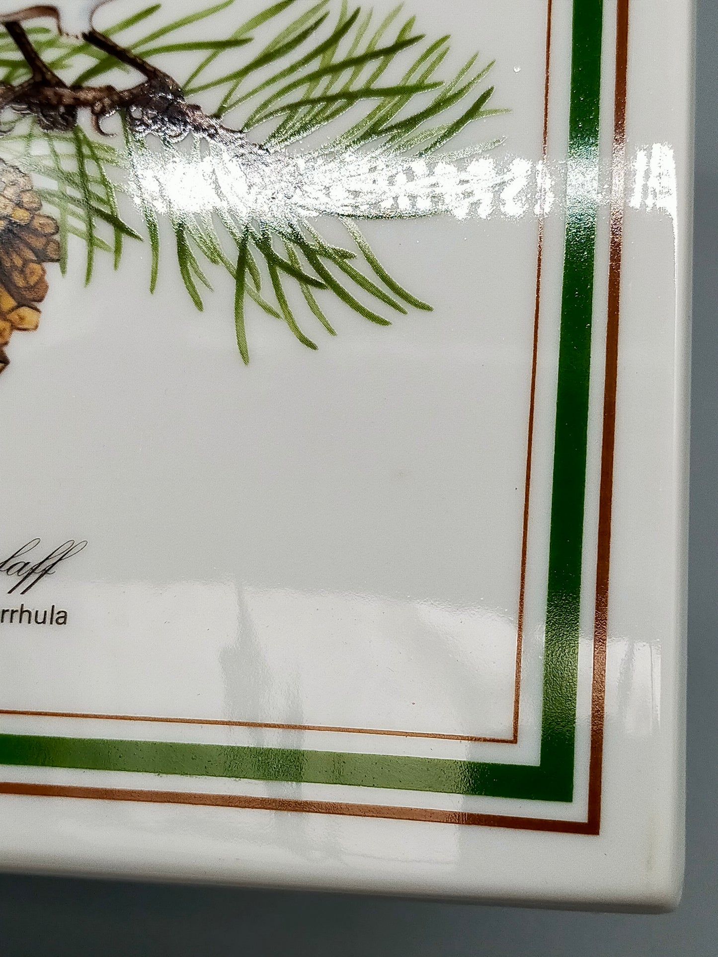 Tettau Porzellanbild Dompfaff Limitierte Singvögel