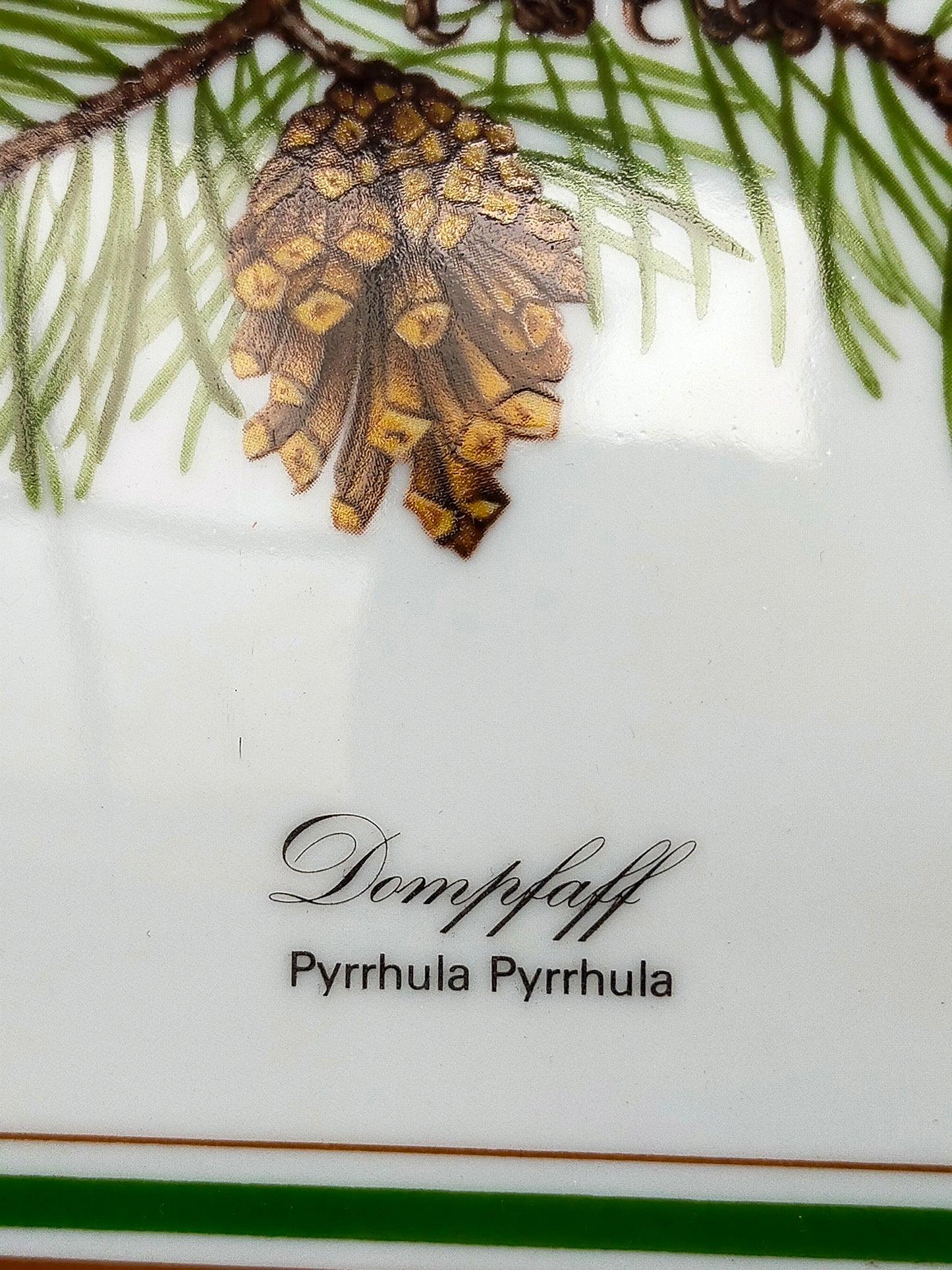 Tettau Porzellanbild Dompfaff Limitierte Singvögel