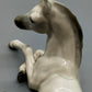 Hans Schirmer Porzellan Figur Liegendes Fohlen Pferd Vintage
