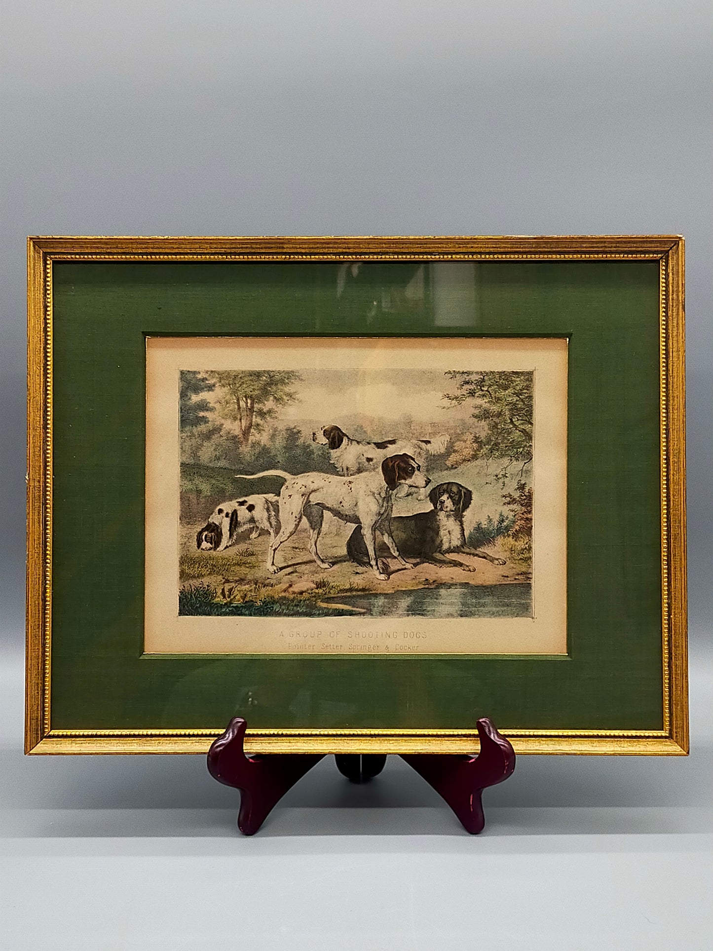 Englische Schule (XIX) A Group of Shooting Dogs Original Lithographie