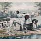 Englische Schule (XIX) A Group of Shooting Dogs Original Lithographie