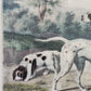Englische Schule (XIX) A Group of Shooting Dogs Original Lithographie