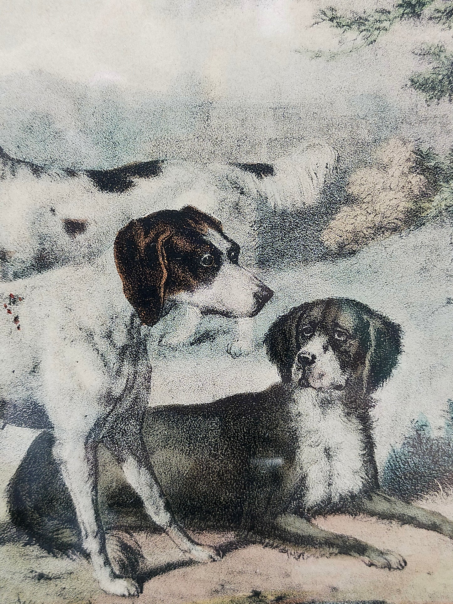 Englische Schule (XIX) A Group of Shooting Dogs Original Lithographie