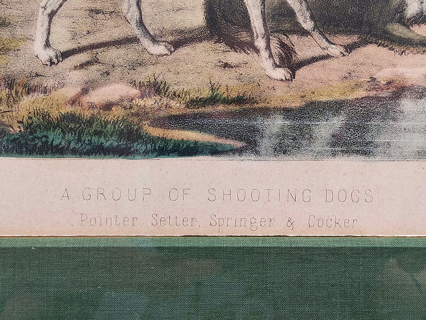 Englische Schule (XIX) A Group of Shooting Dogs Original Lithographie