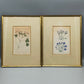 Englische Schule (XVIII) Botanischer Kupferstich Pflanzenstudie