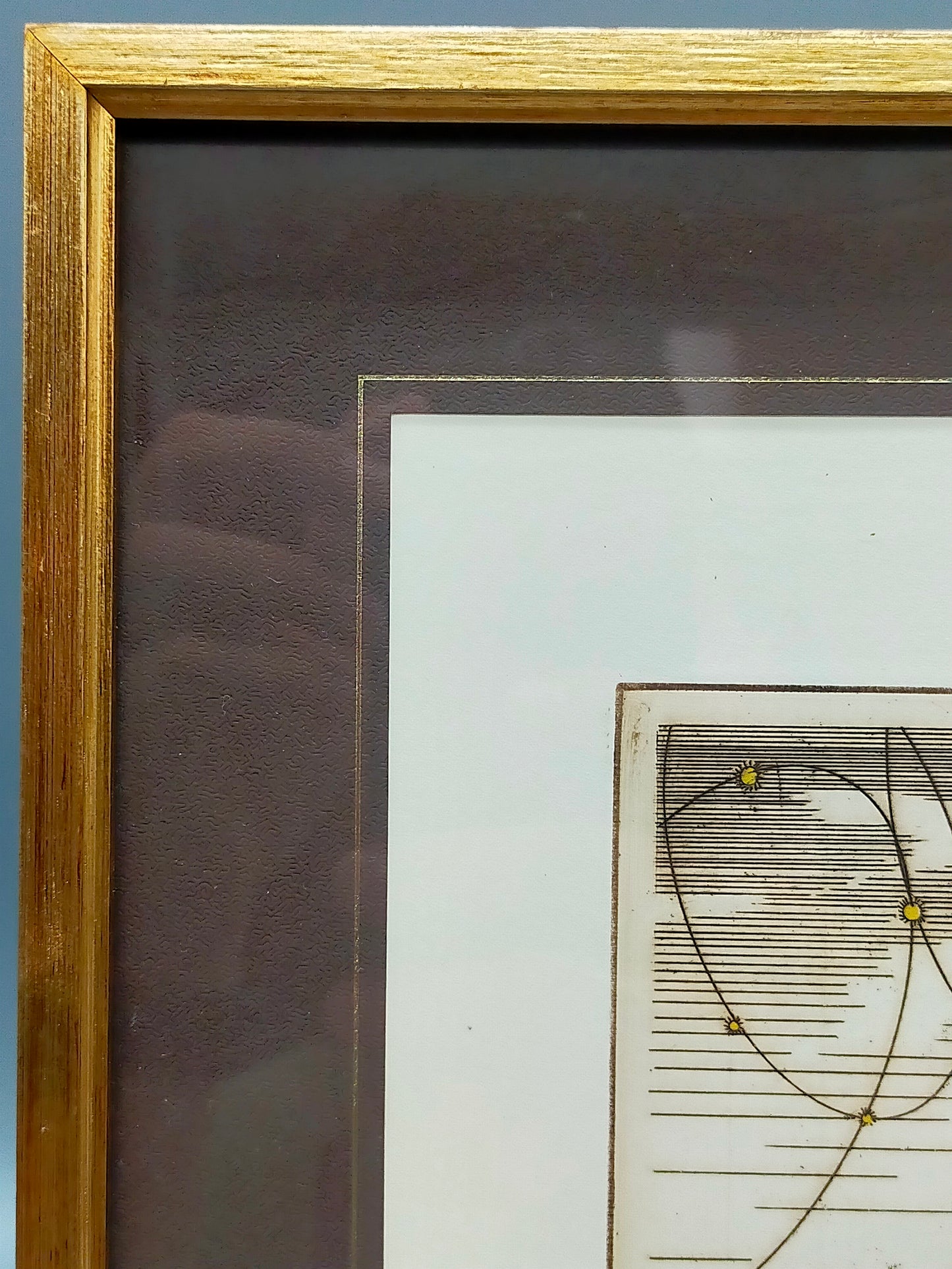 Heino Heidhues Steinbock Radierung (1984) Signierte Grafik im Rahmen