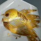 Titel Fürstenberg Porzellan Vase Goldene Vögel & Schmetterlinge