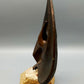 Werner Fenn Bronze Skulptur Radschlagender Pfau auf Steinsockel