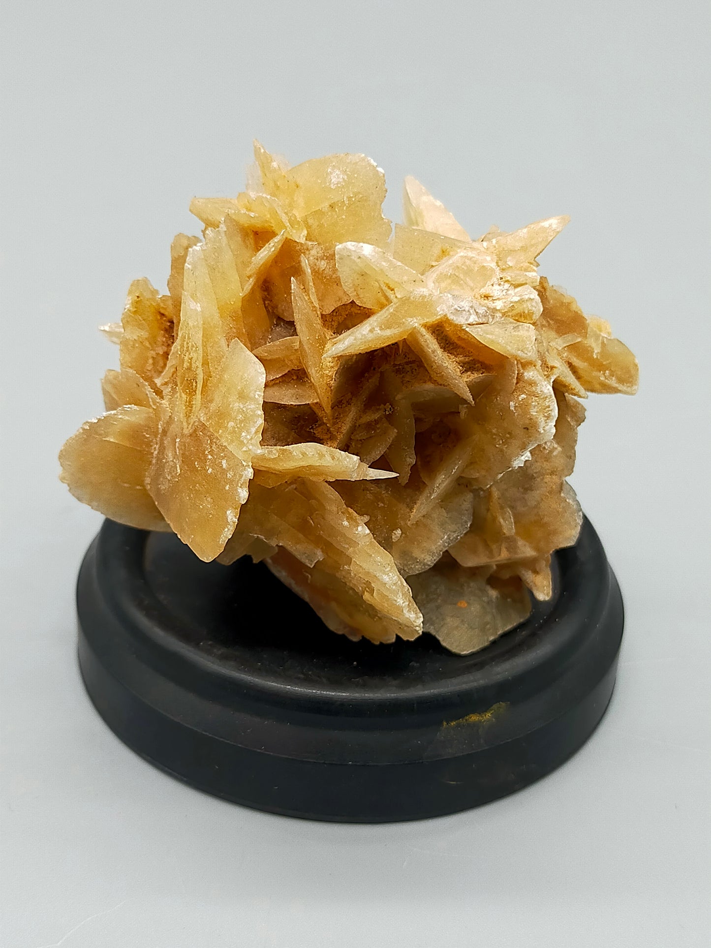 Faszinierende Wüstenrose Natürliches Mineralien
