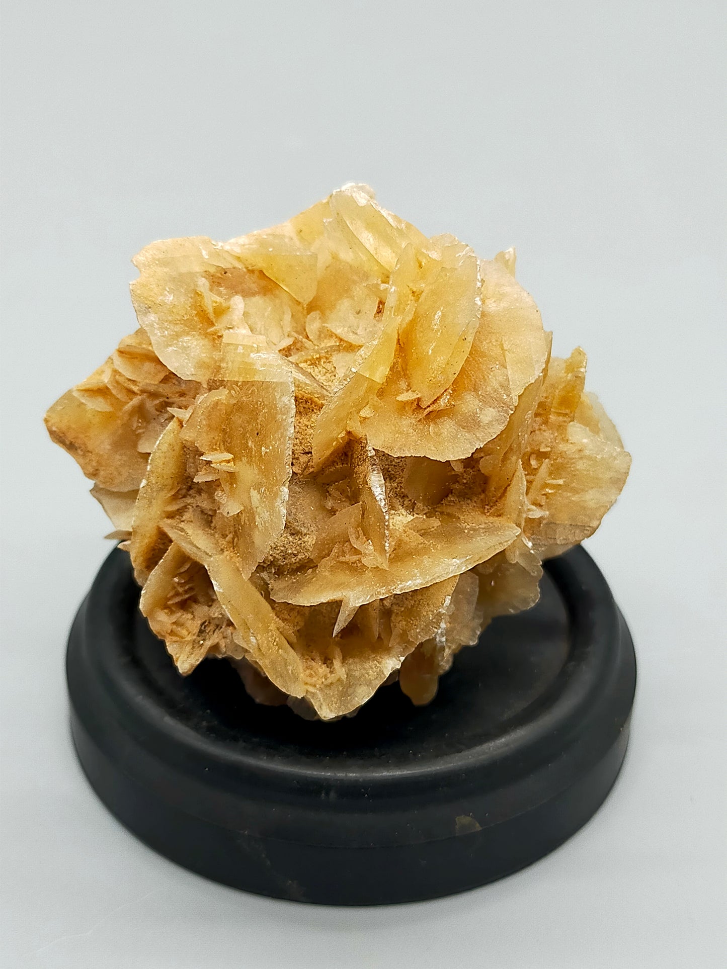 Faszinierende Wüstenrose Natürliches Mineralien
