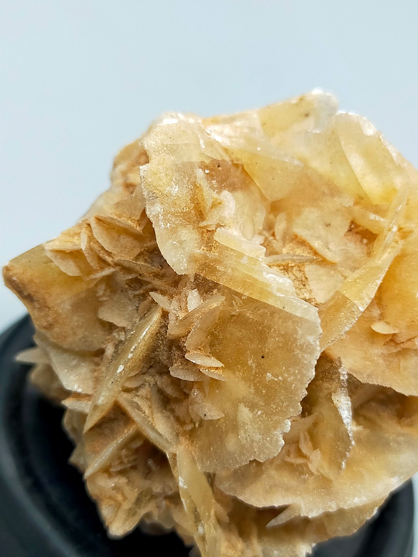 Faszinierende Wüstenrose Natürliches Mineralien