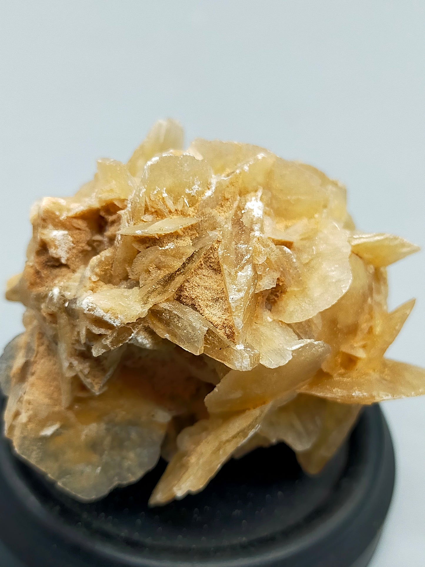 Faszinierende Wüstenrose Natürliches Mineralien