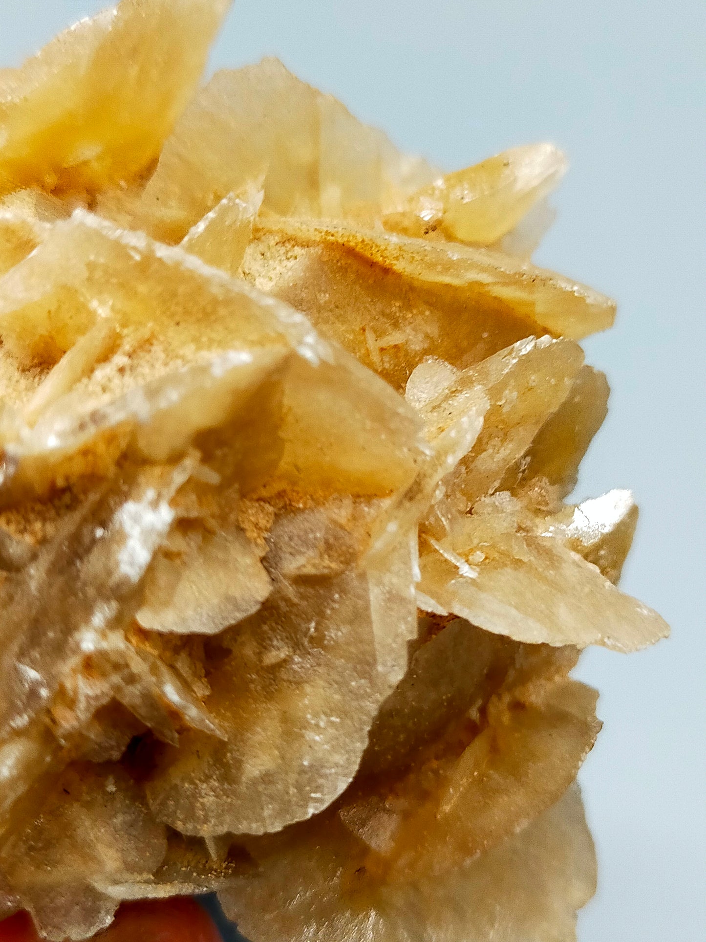 Faszinierende Wüstenrose Natürliches Mineralien