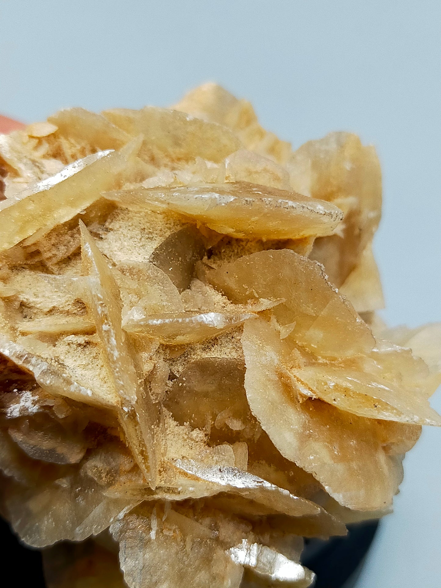 Faszinierende Wüstenrose Natürliches Mineralien