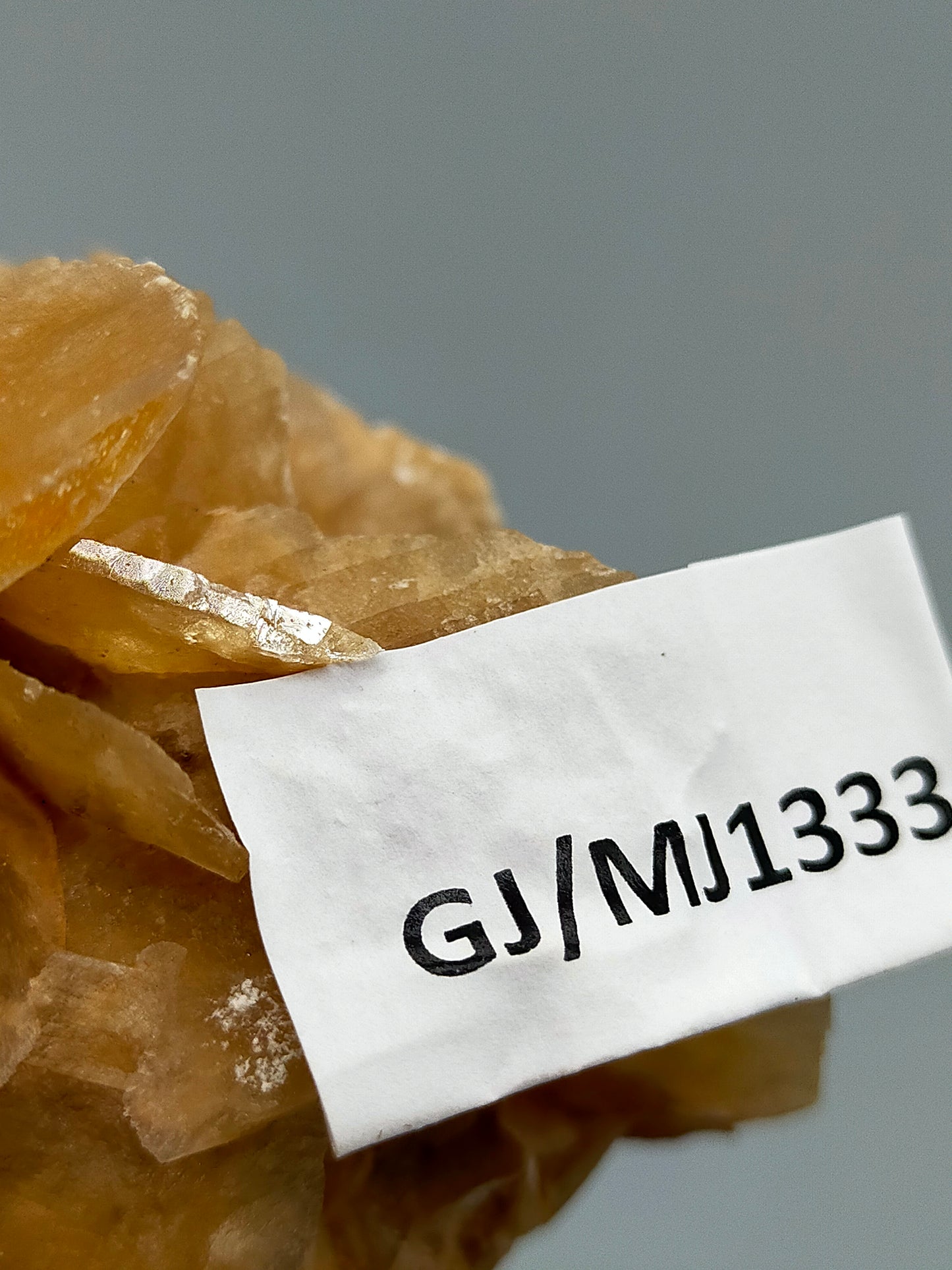 Faszinierende Wüstenrose Natürliches Mineralien