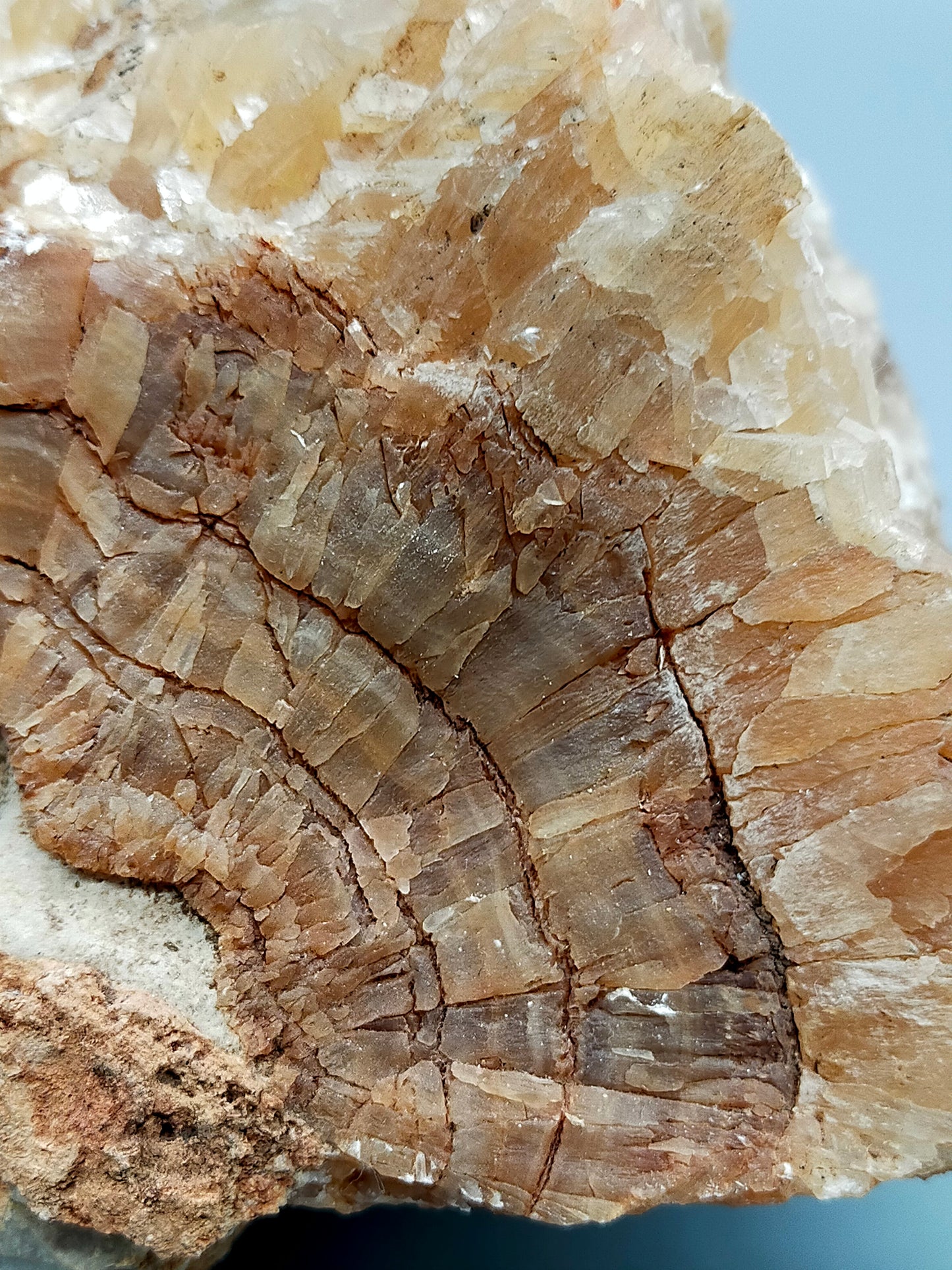 Große Calcit Druse – Naturbelassener Kristall mit Matrix
