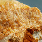 Große Calcit Druse – Naturbelassener Kristall mit Matrix