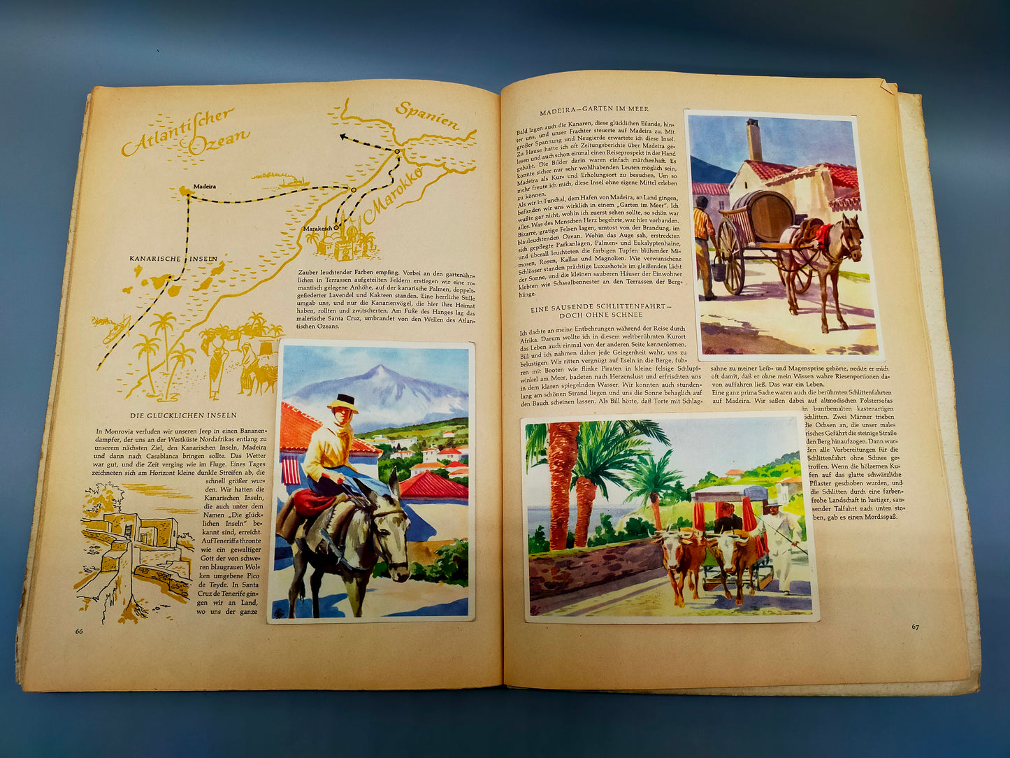 Klassisches Jugendbuch Afrika – Bunte Karten & Illustrationen