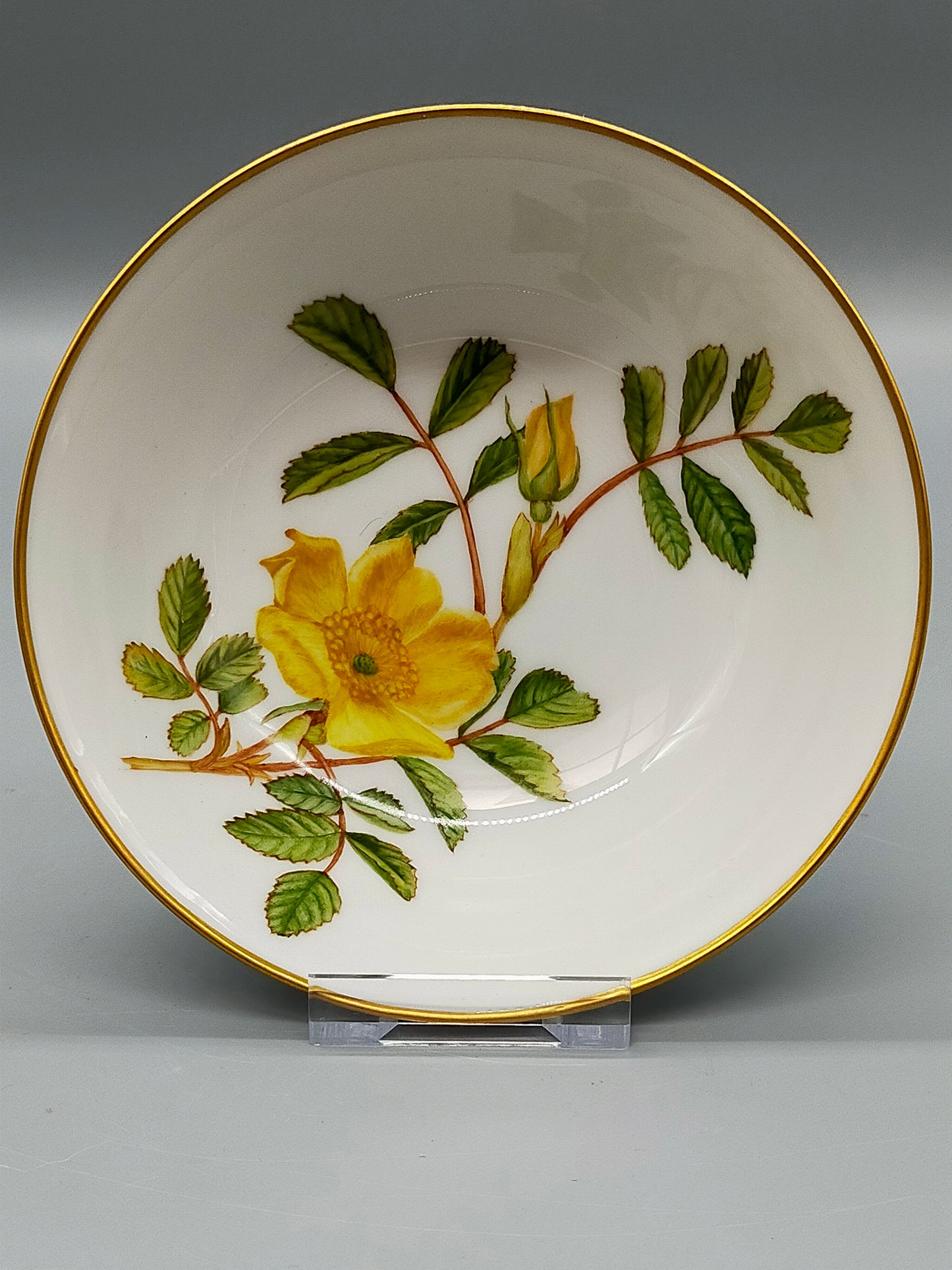 Hutschenreuther Selb Porzellanschale Gelbe Rose Goldrand