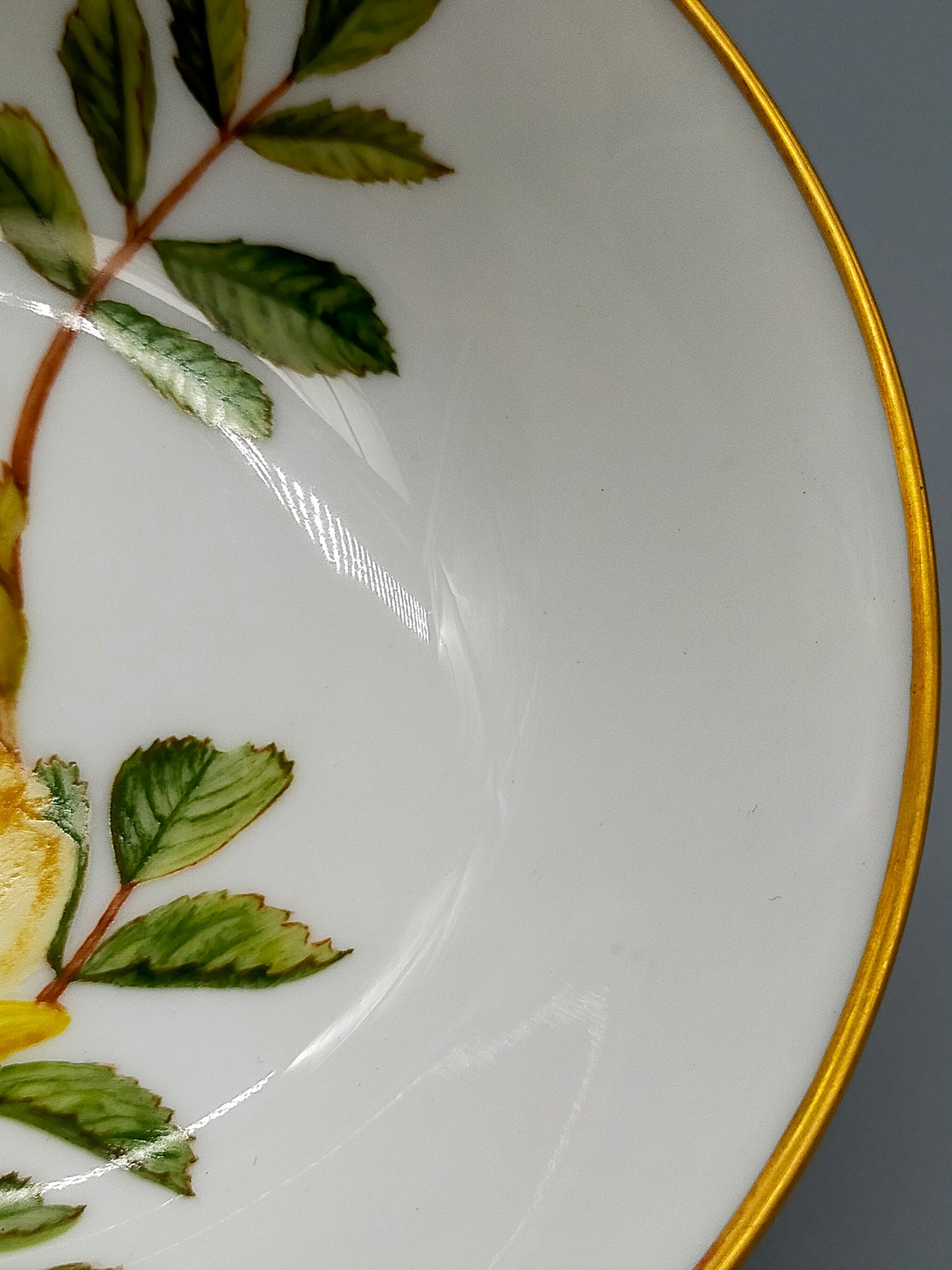 Hutschenreuther Selb Porzellanschale Gelbe Rose Goldrand
