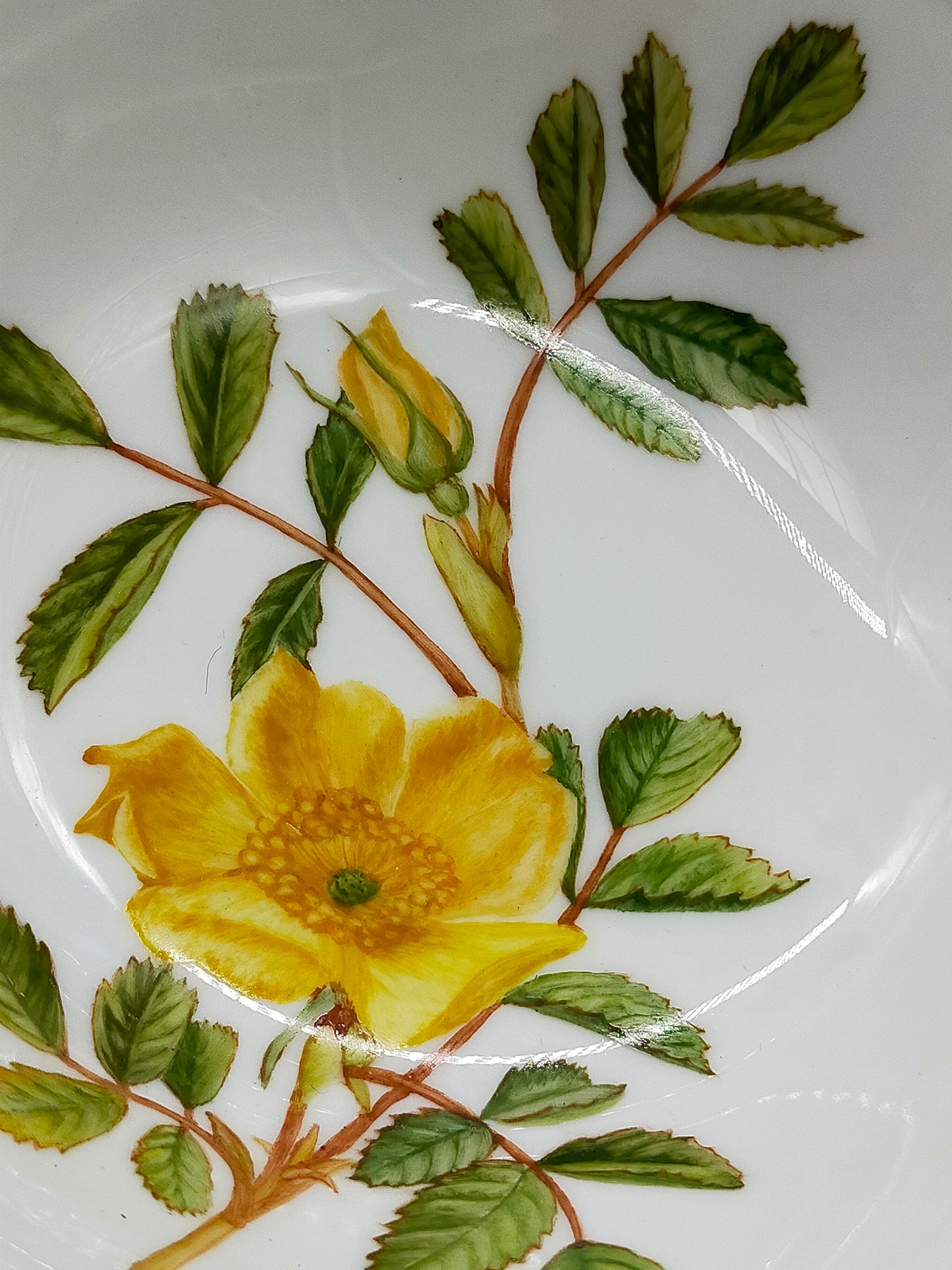 Hutschenreuther Selb Porzellanschale Gelbe Rose Goldrand