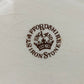 Staffordshire Porzellan Henkelkorb Antikes Rosendekor