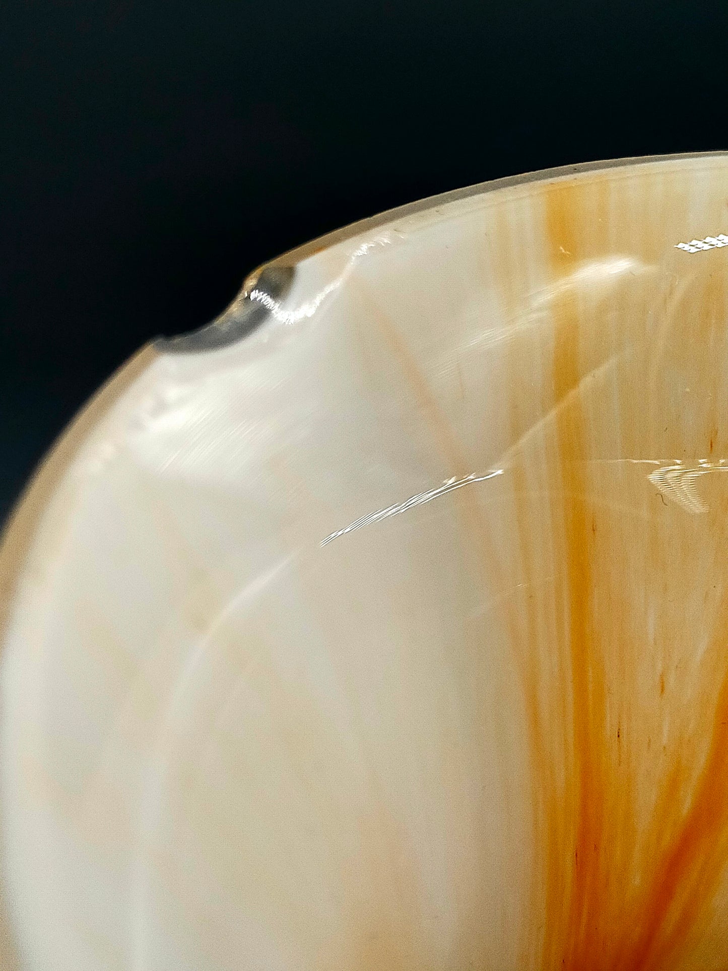 Antike Tischlampe Neoklassizismus Säule mit Glas Schirm