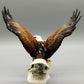 Hutschenreuther – Porzellanfigur Fliegender Adler  Porzellan