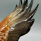 Hutschenreuther – Porzellanfigur Fliegender Adler  Porzellan
