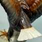 Hutschenreuther – Porzellanfigur Fliegender Adler  Porzellan