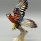 Hutschenreuther Porzellanfigur Eichelhäher – Kunstabteilung